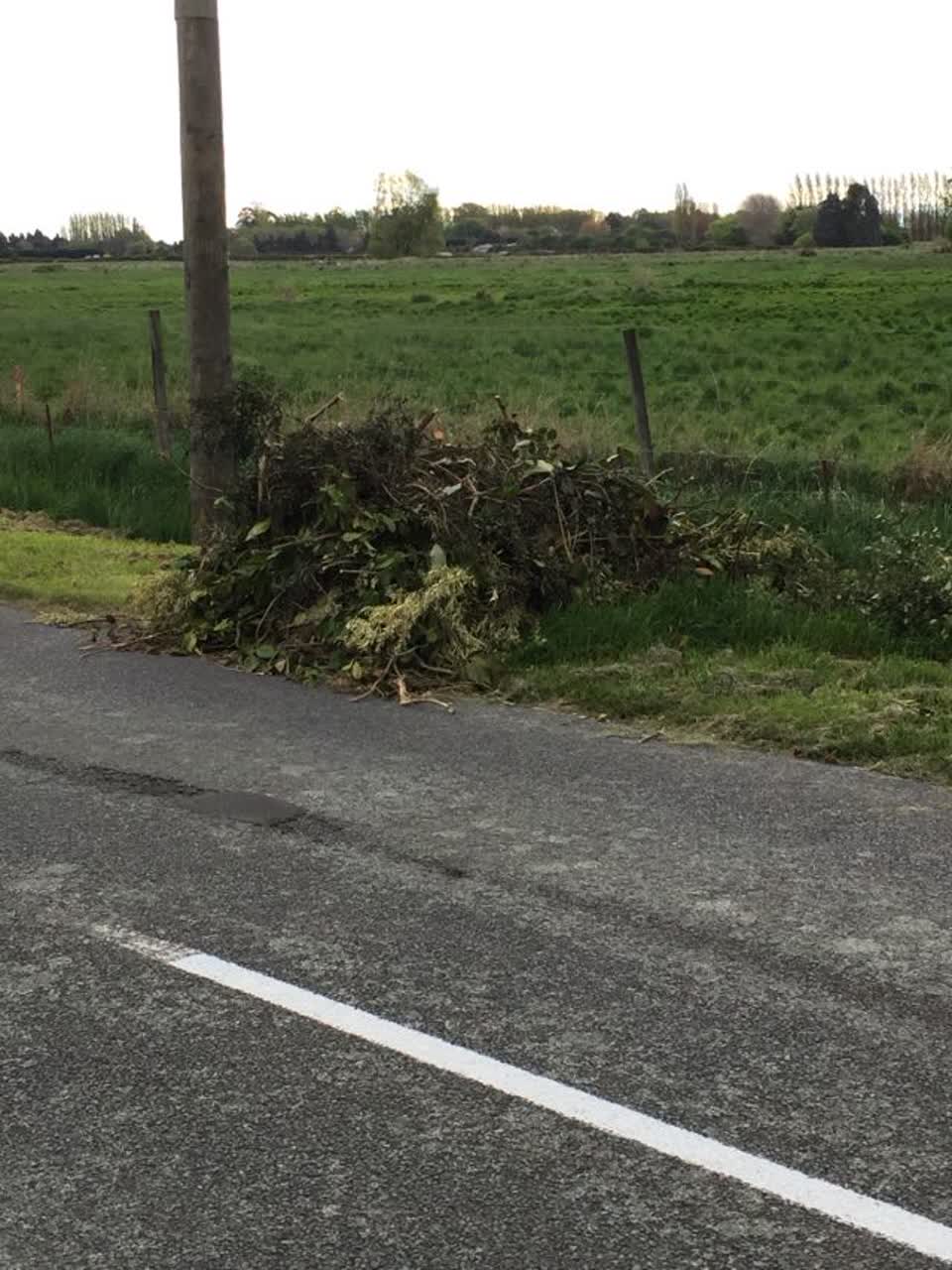 The photograph attached to this rubbish/recycling report