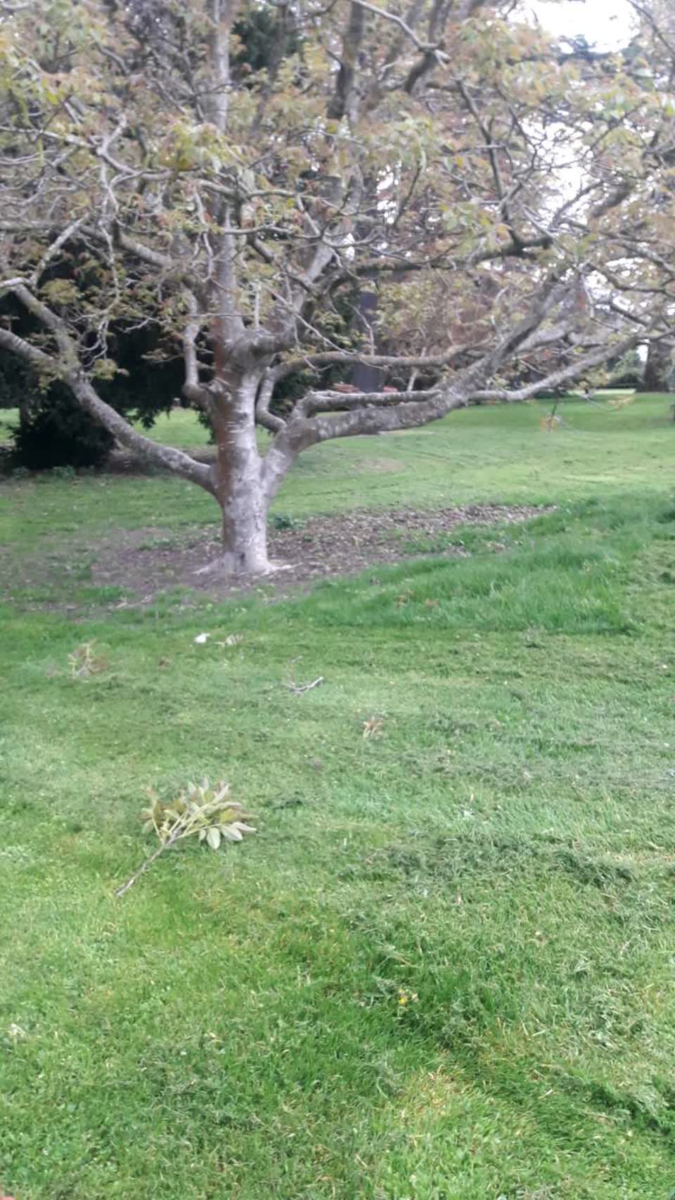 The photograph attached to this parks report