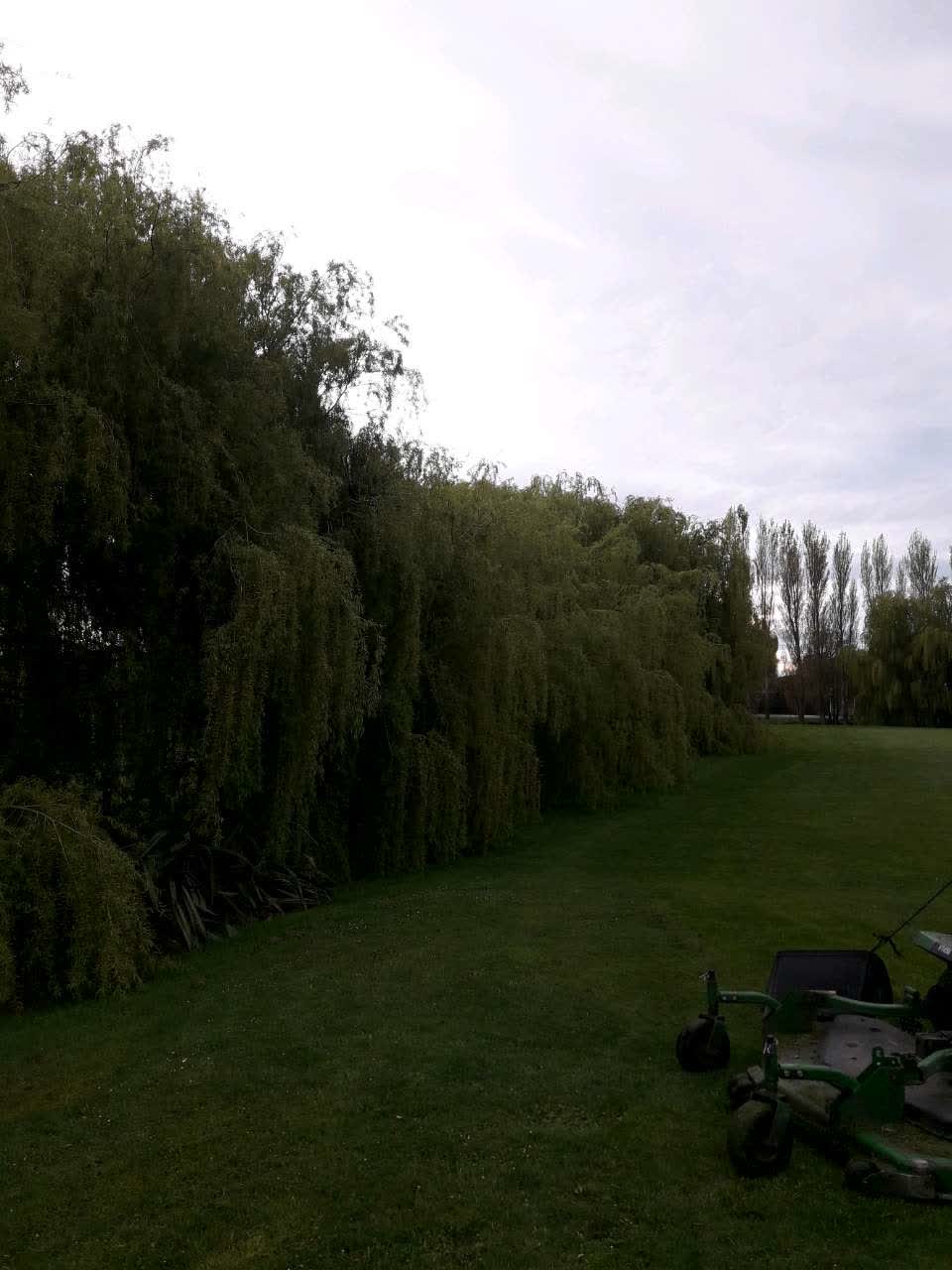 The photograph attached to this parks report
