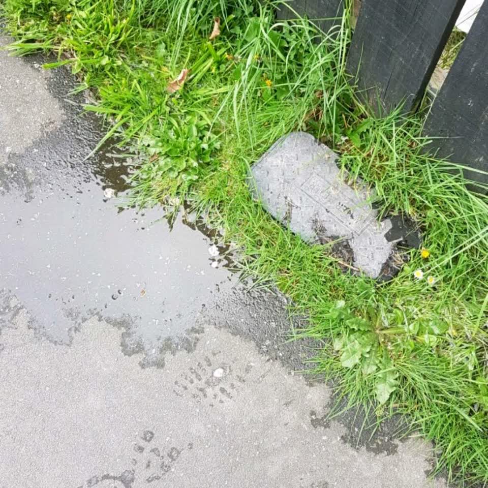 The photograph attached to this water supply report