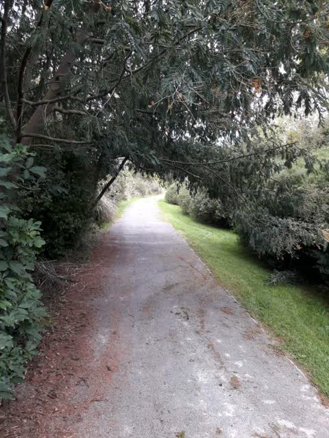 Parks, a report photo