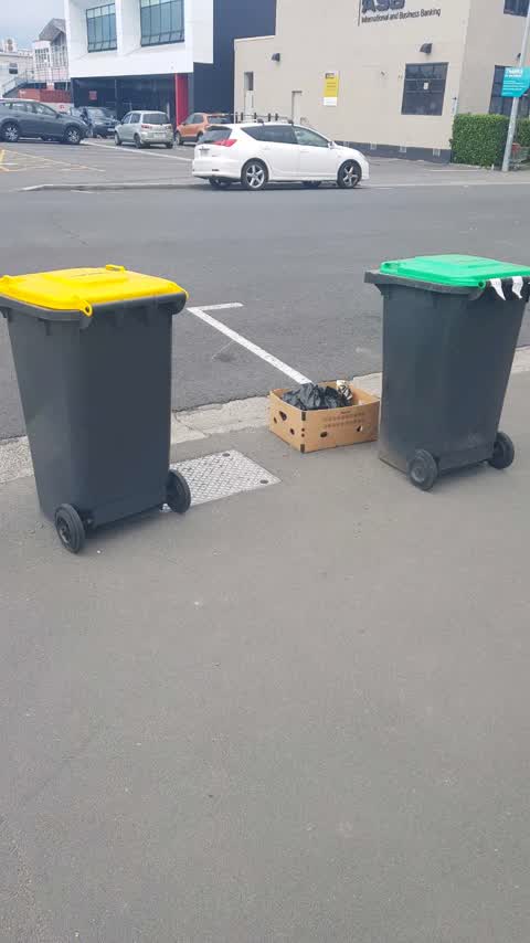 Rubbish/Recycling, a report photo