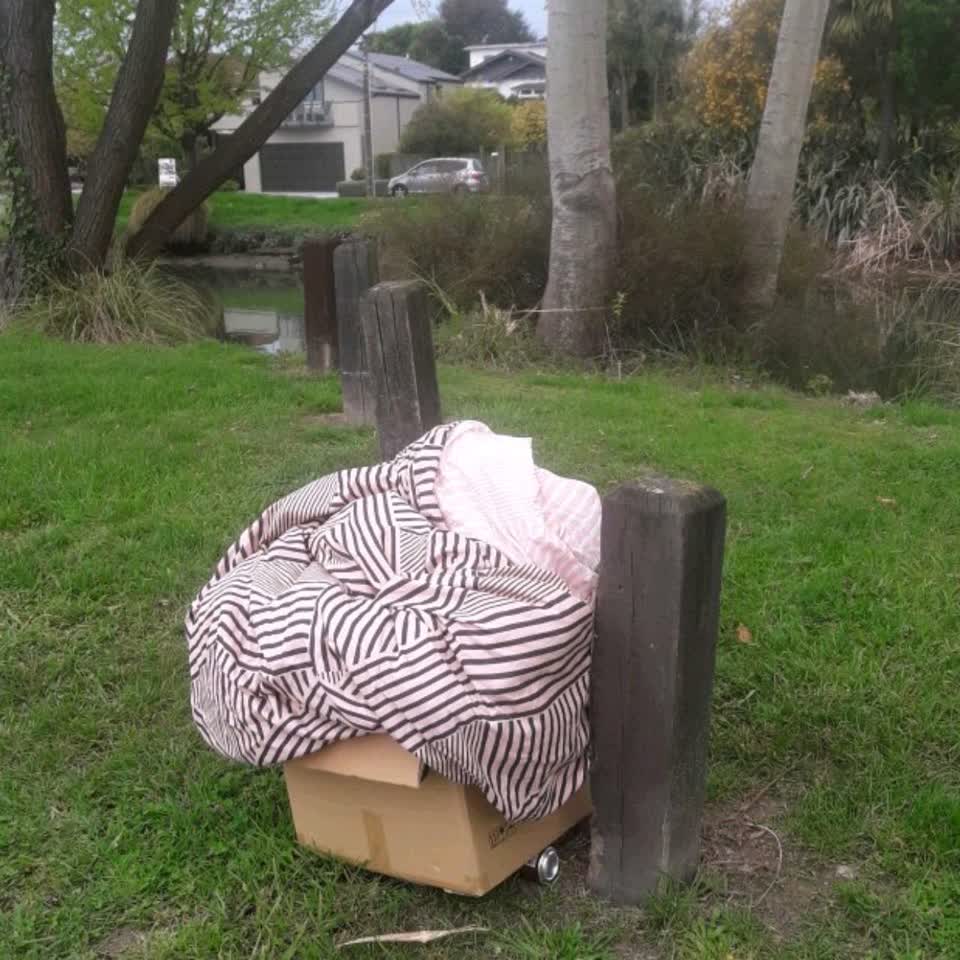 The photograph attached to this parks report