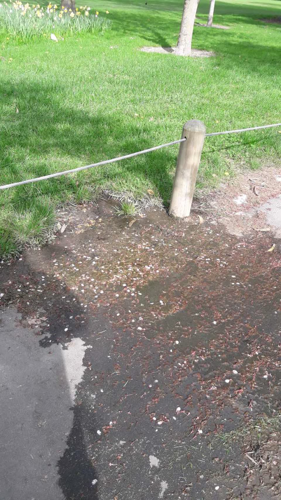 The photograph attached to this flooding report
