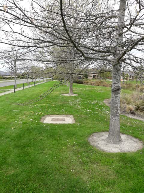 Parks, a report photo
