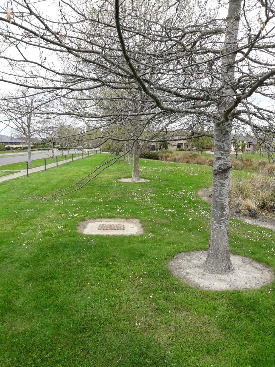 The photograph attached to this parks report