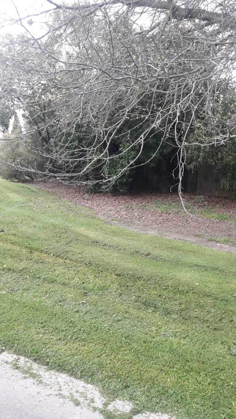 The photograph attached to this parks report
