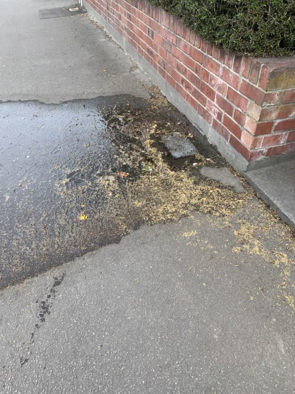 The photograph attached to this water supply report