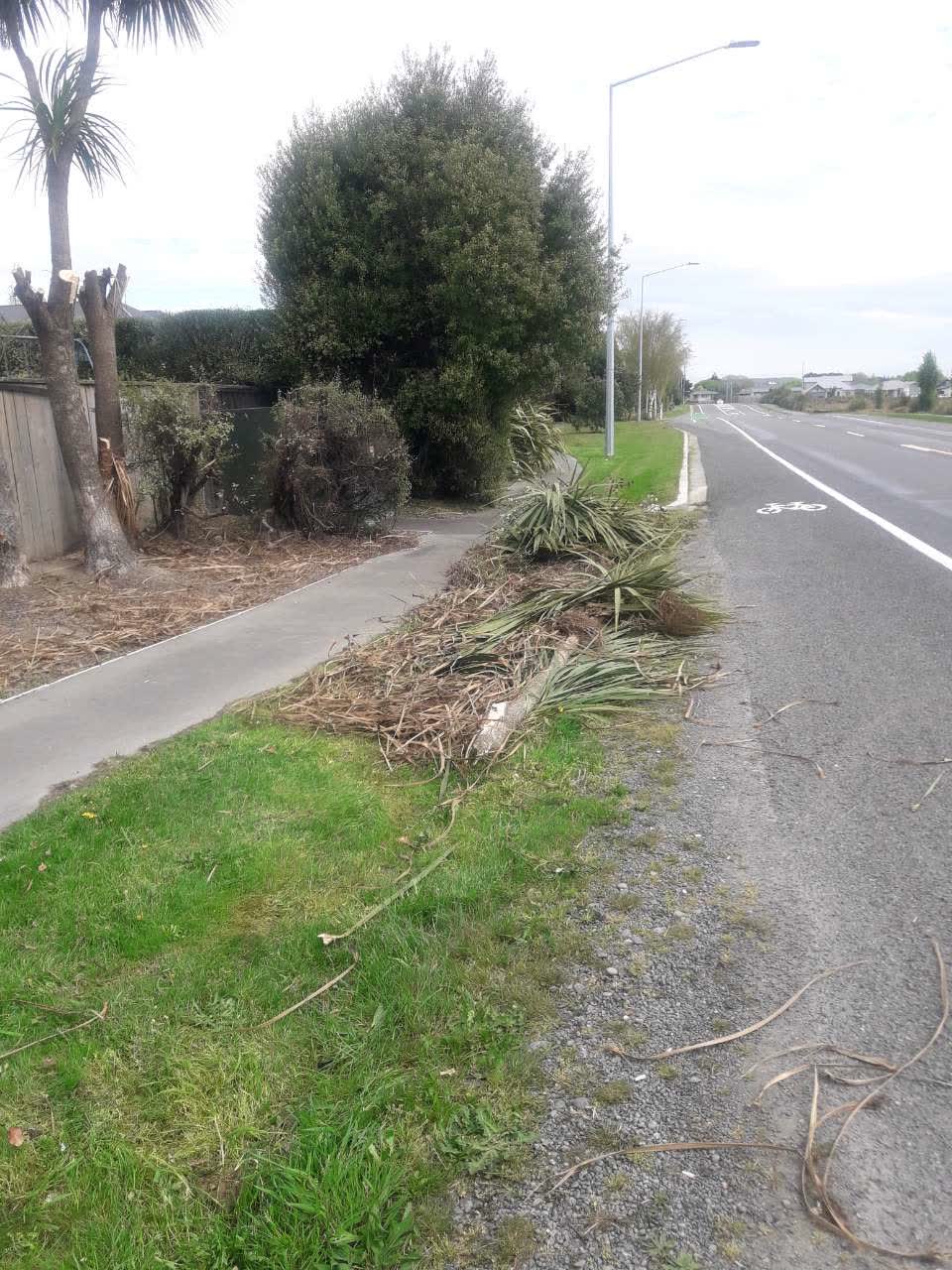 The photograph attached to this parks report