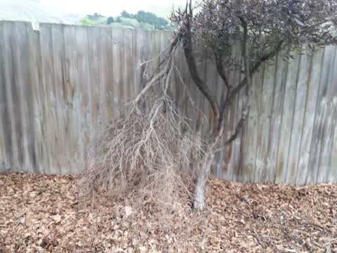 Parks, a report photo