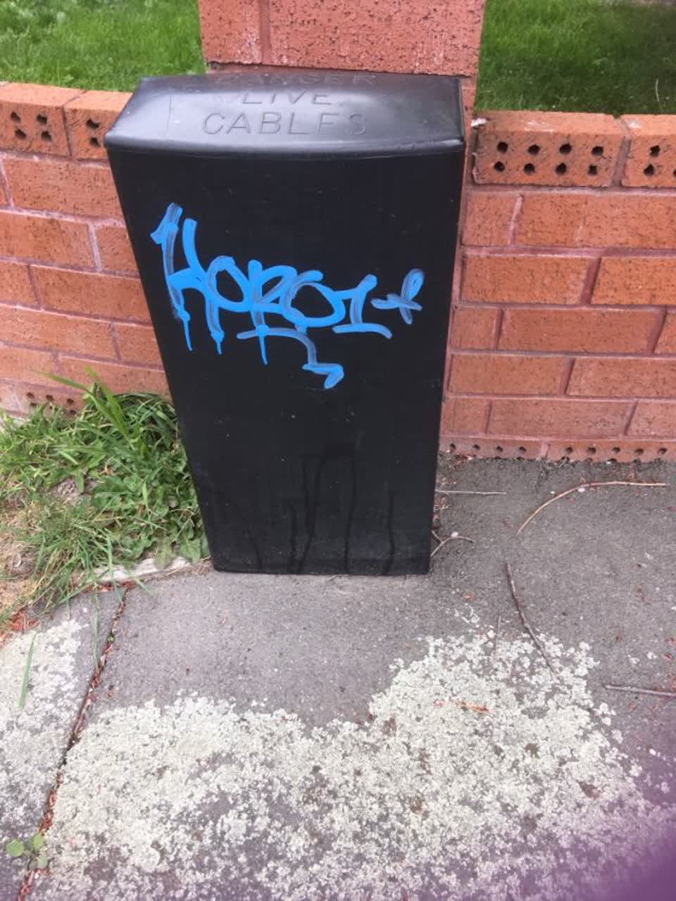 The photograph attached to this graffiti report