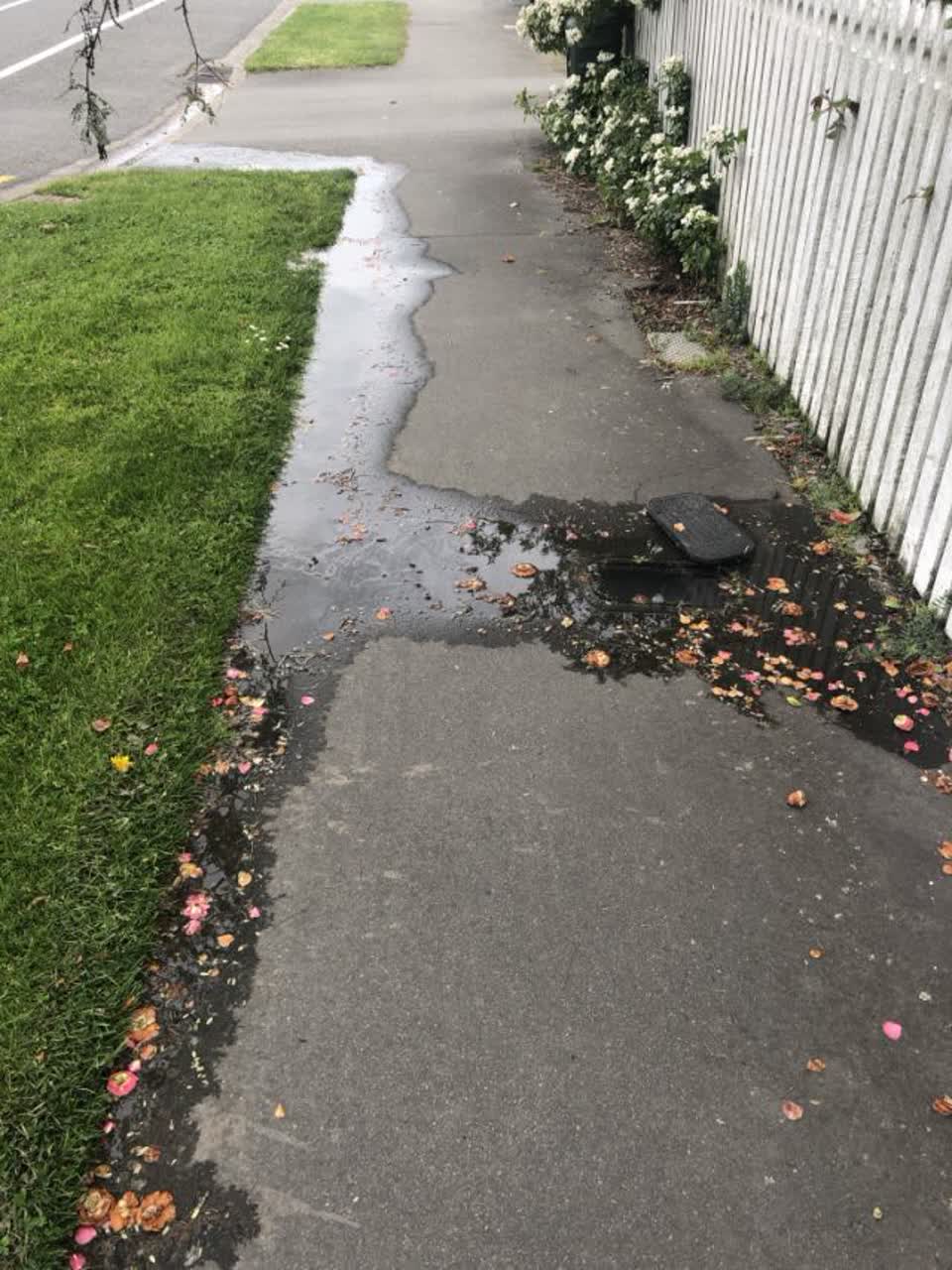The photograph attached to this water supply report