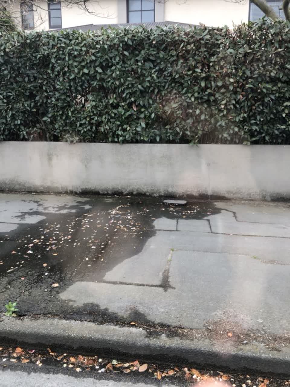 The photograph attached to this water supply report