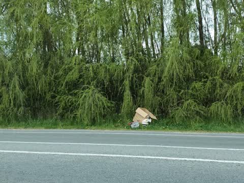 Rubbish/Recycling, a report photo