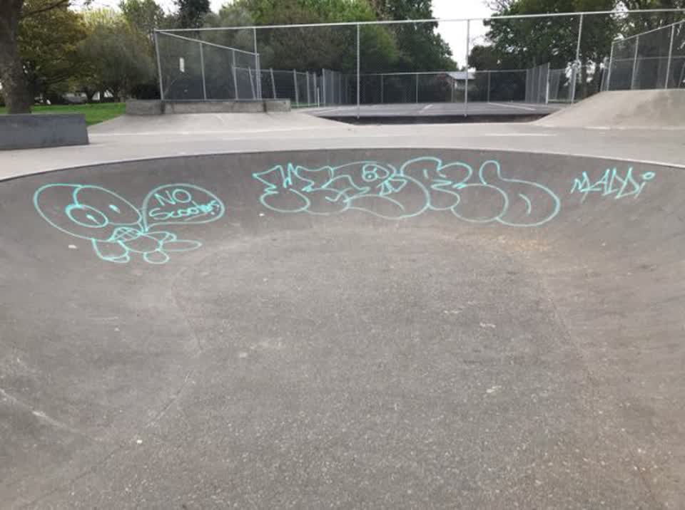 The photograph attached to this graffiti report