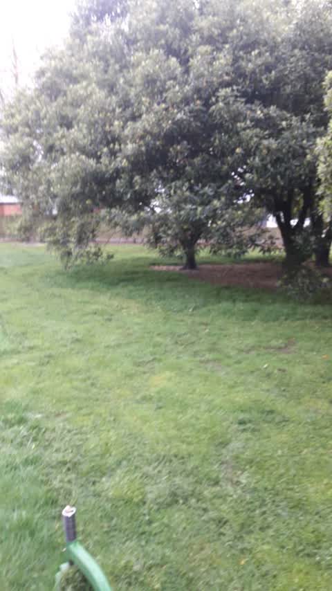 Parks, a report photo