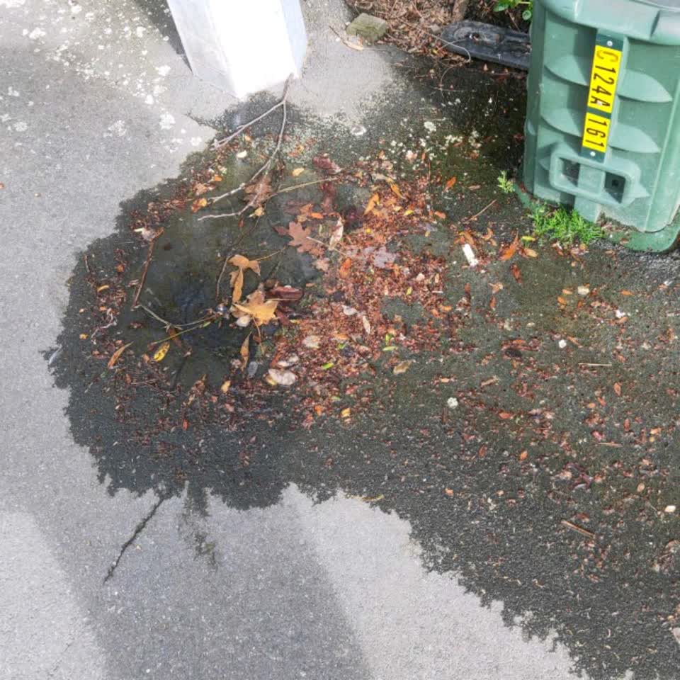 The photograph attached to this water supply report