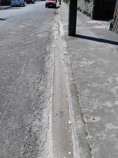 Roading/Streets, a report photo