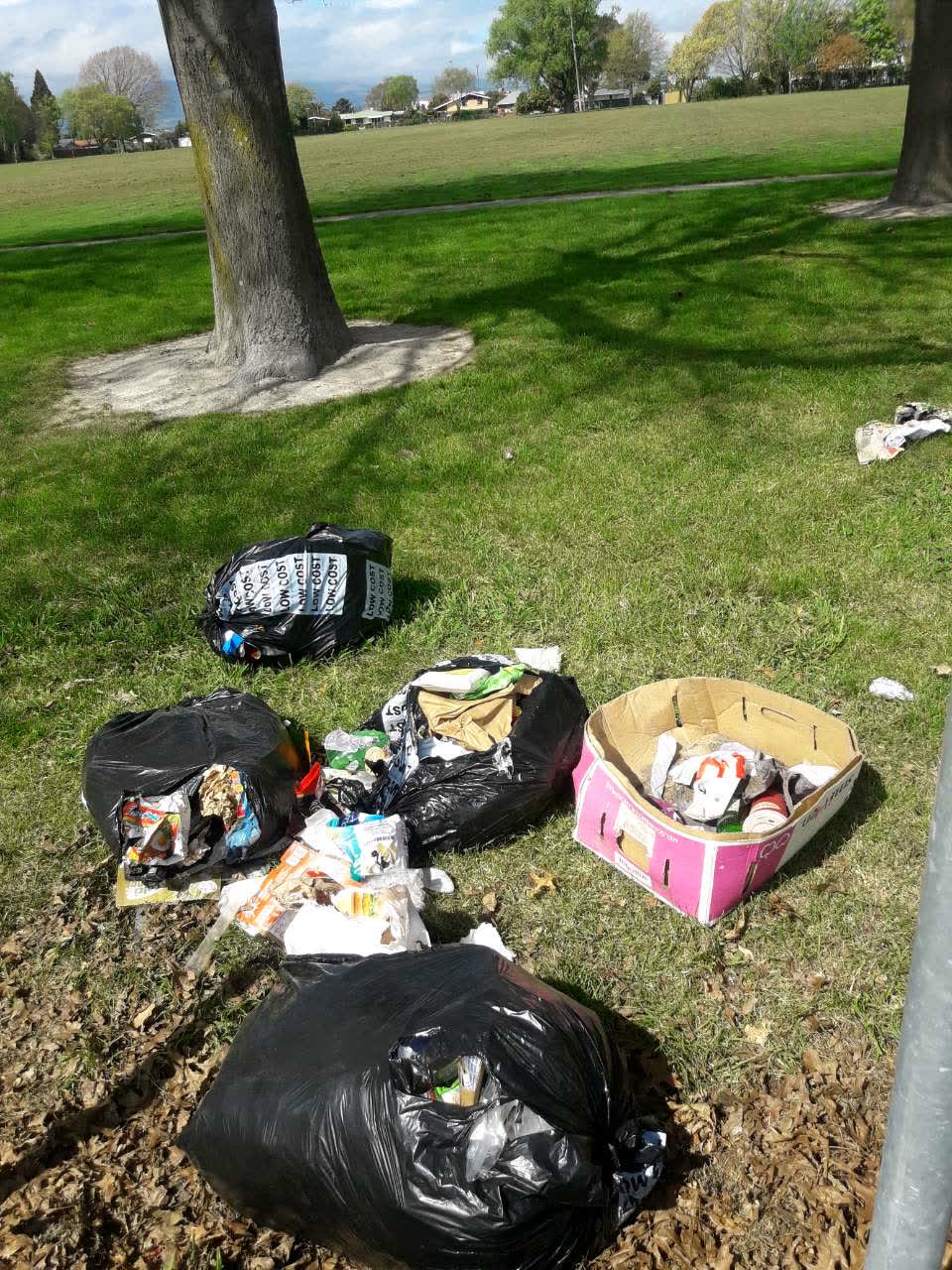 The photograph attached to this rubbish/recycling report
