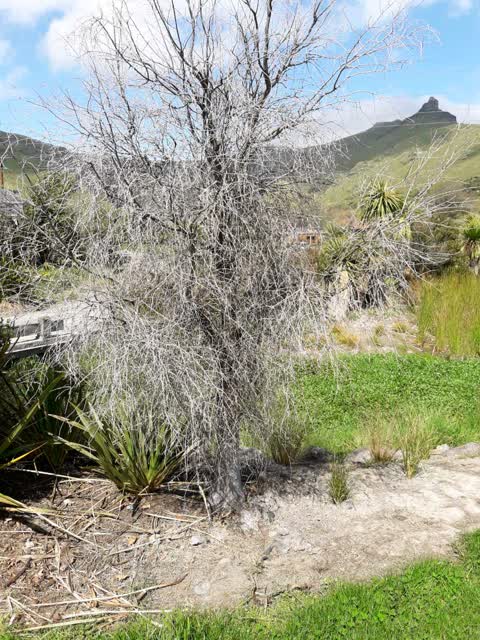 Parks, a report photo