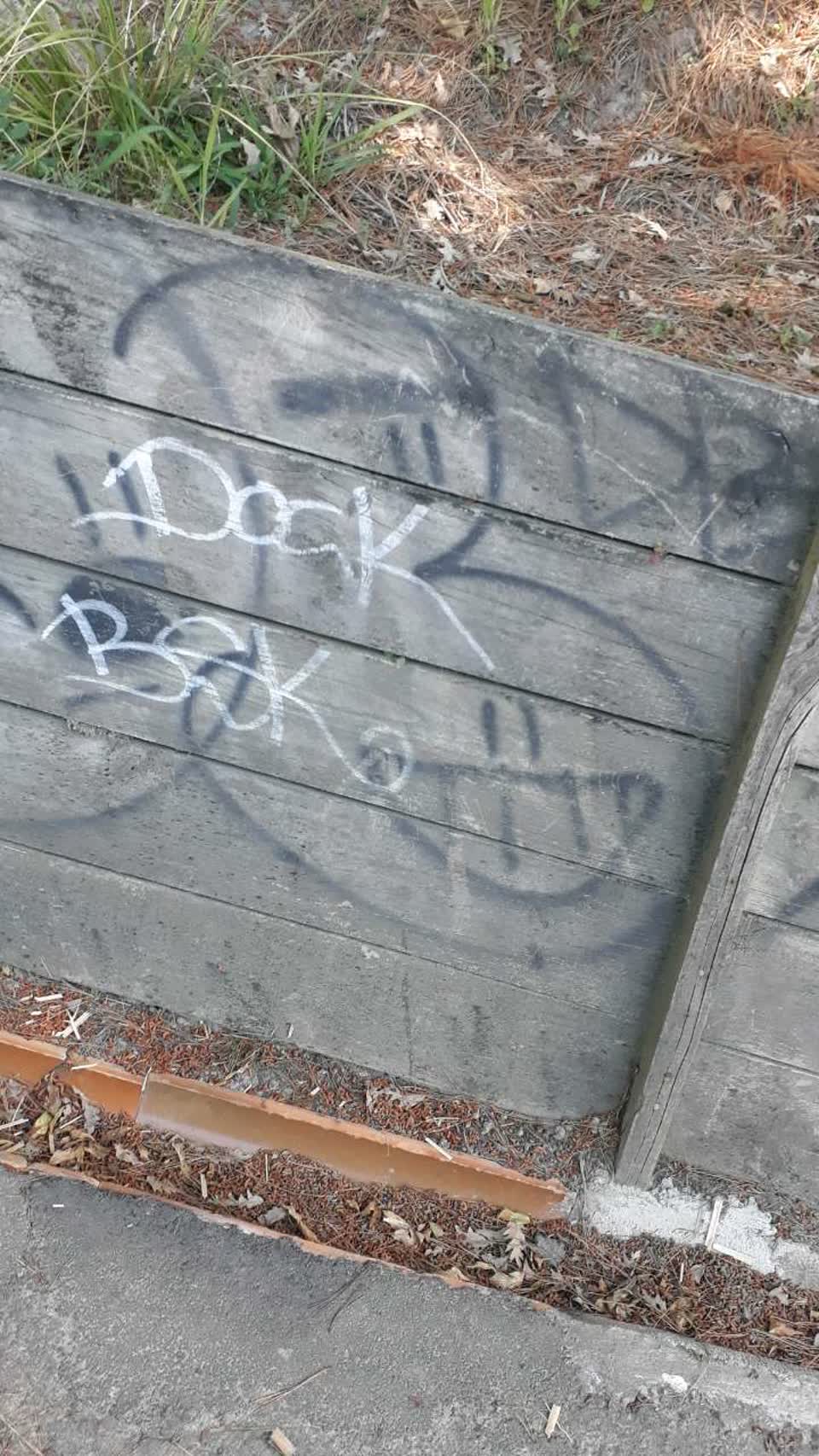 The photograph attached to this graffiti report