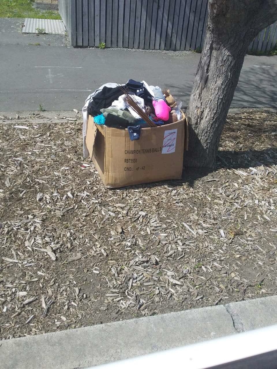 The photograph attached to this rubbish/recycling report