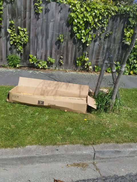 Rubbish/Recycling — a report photo