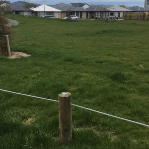 Parks, a report photo