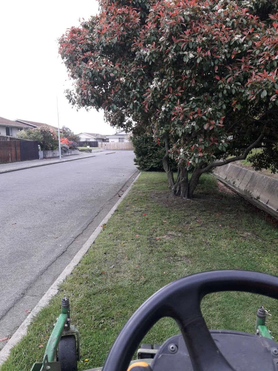 The photograph attached to this parks report