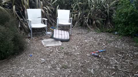 Parks, a report photo