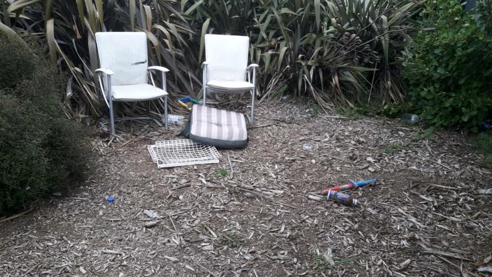 The photograph attached to this parks report