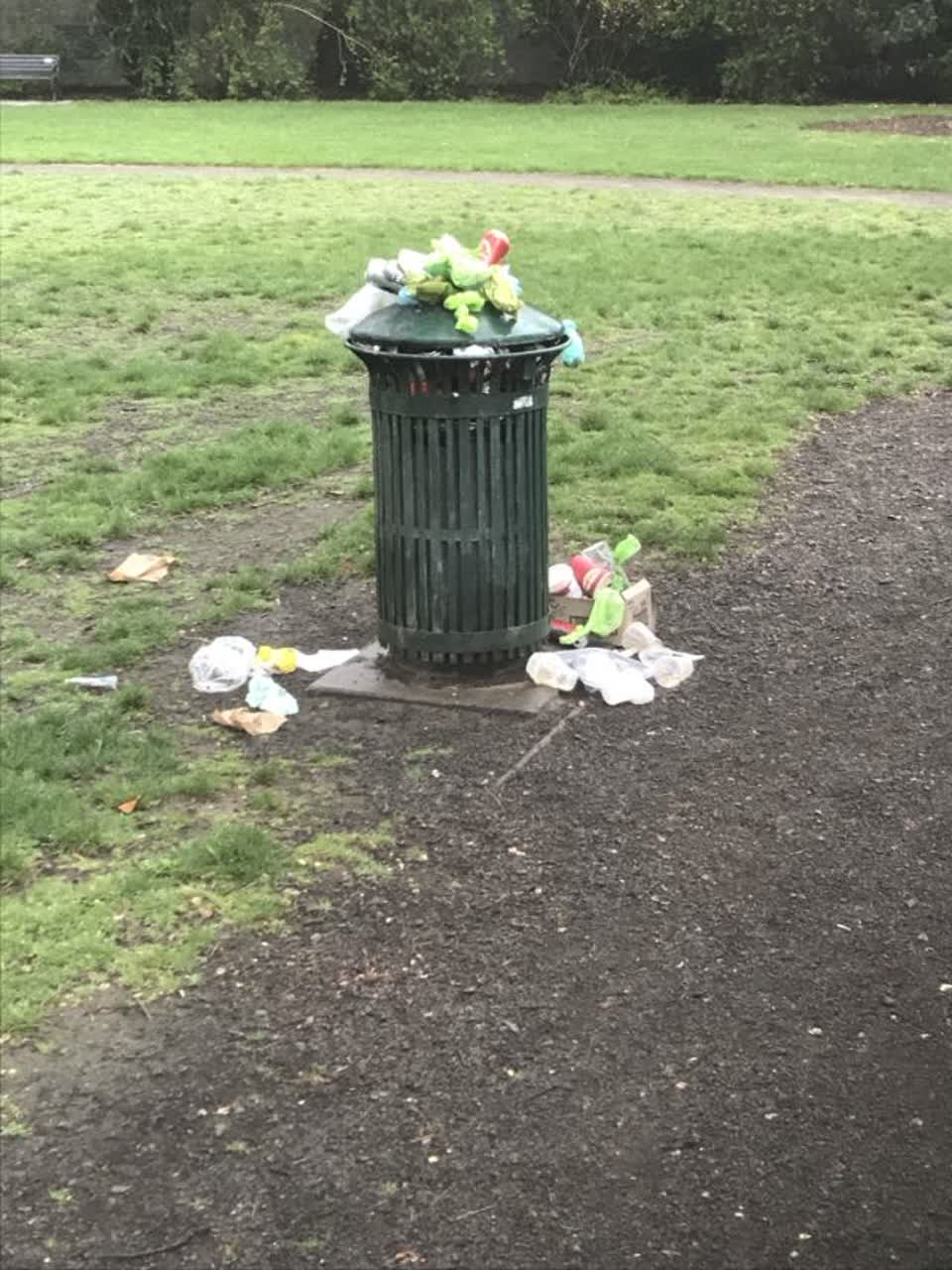 The photograph attached to this rubbish/recycling report