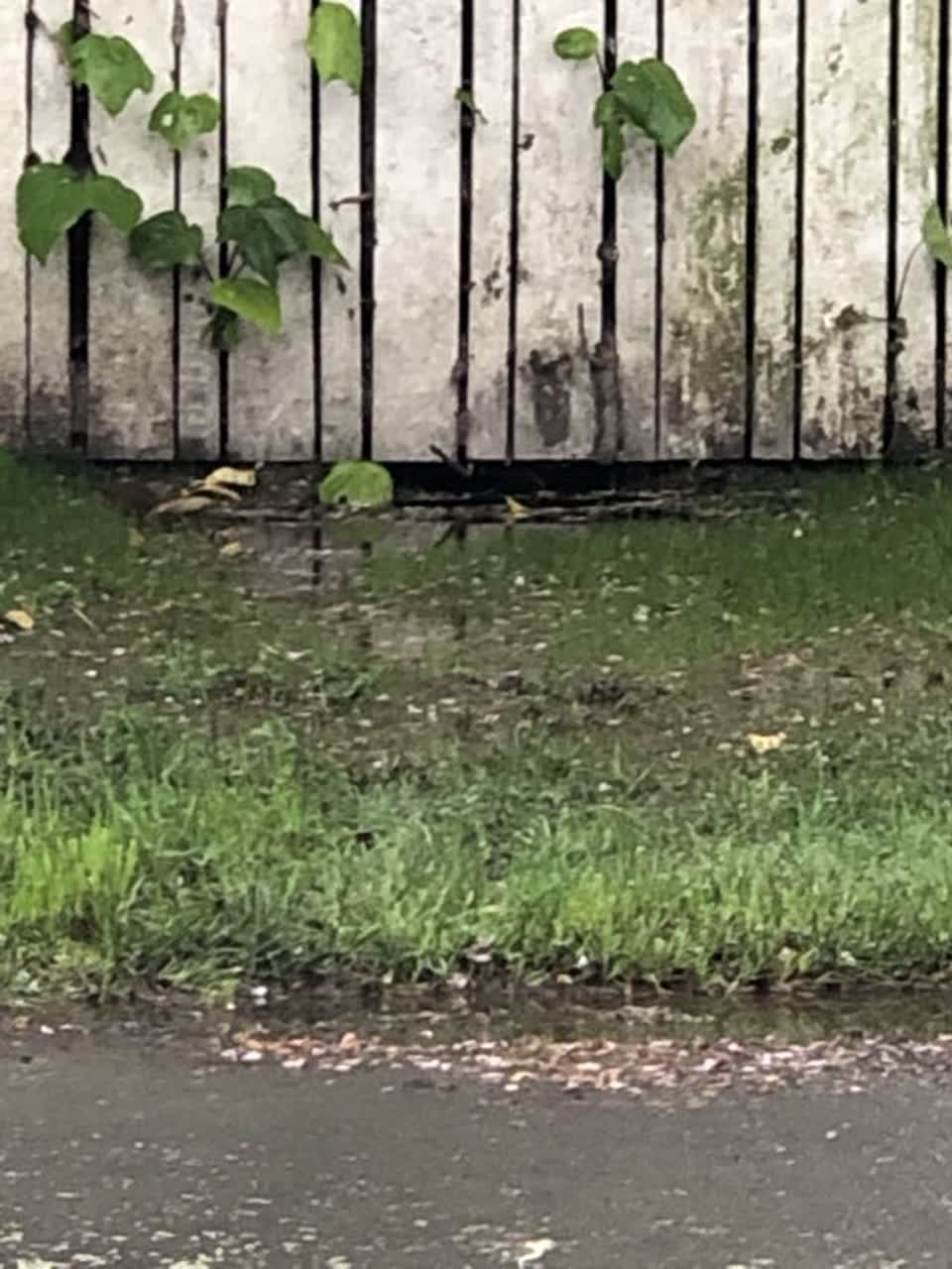 The photograph attached to this water supply report