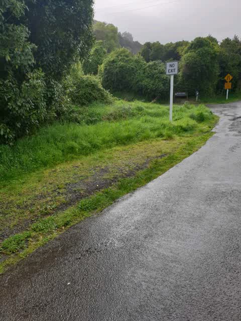 Roading/Streets, a report photo