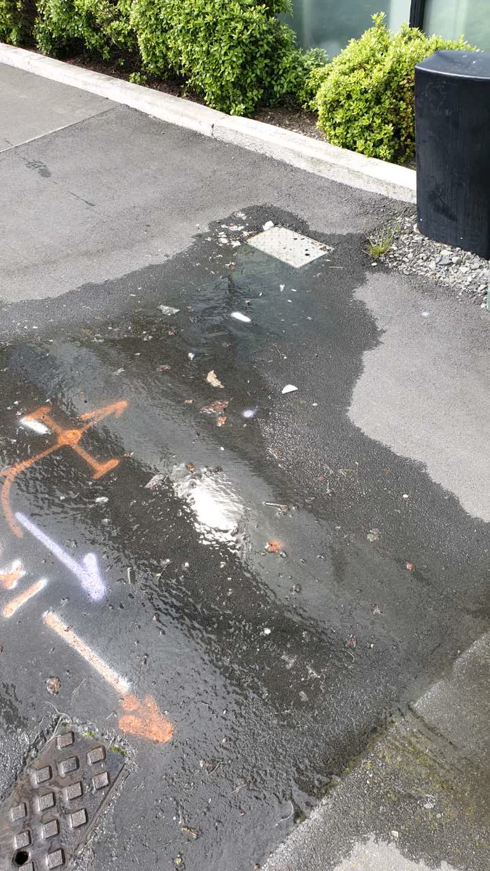 The photograph attached to this water supply report