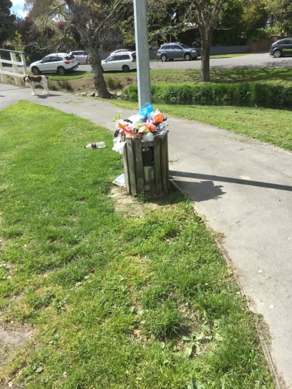 The photograph attached to this rubbish/recycling report