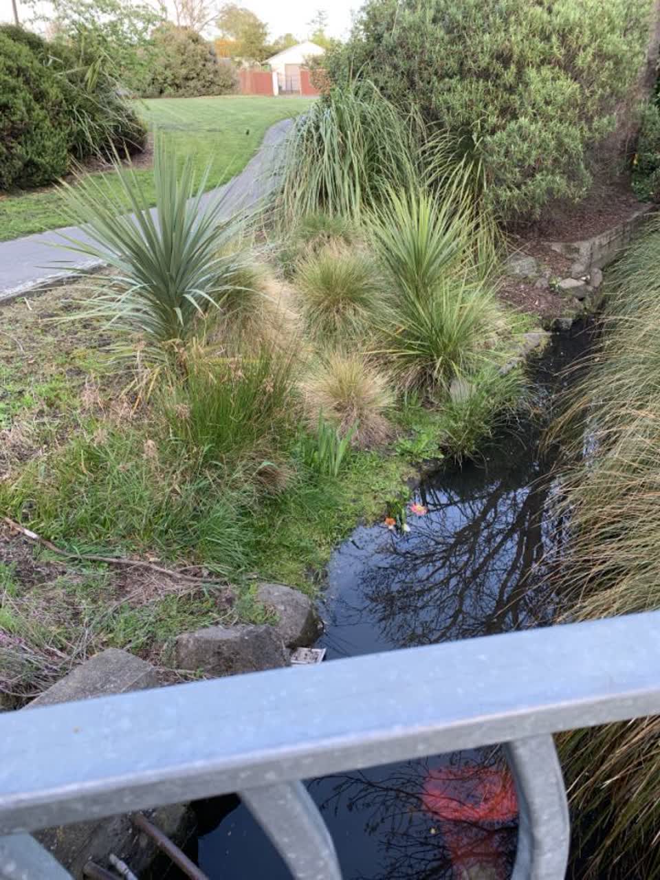 The photograph attached to this flooding report