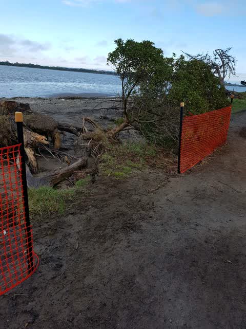 Parks — a report photo