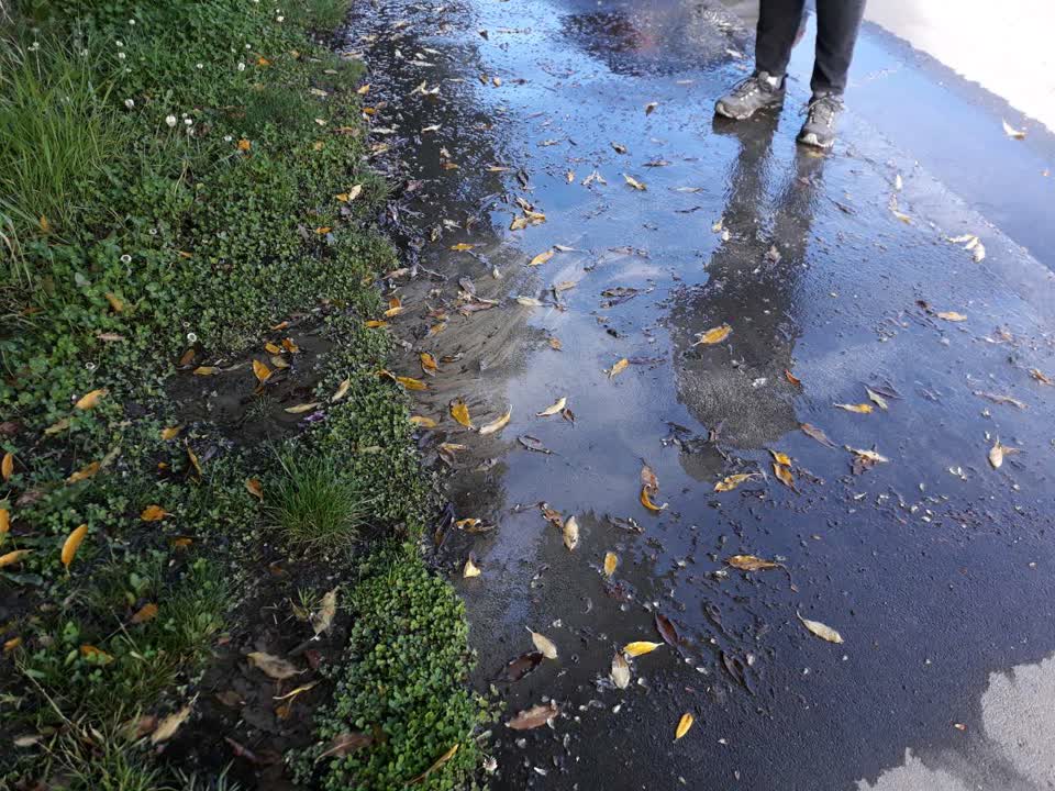The photograph attached to this wastewater/stormwater report