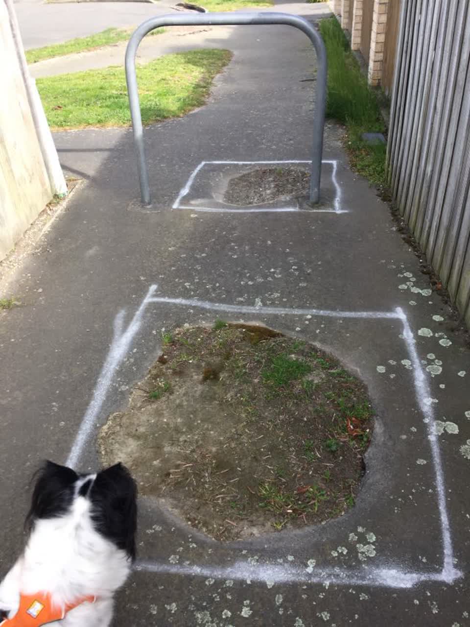The photograph attached to this roading/streets report