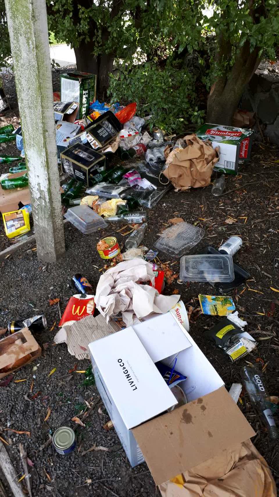 The photograph attached to this rubbish/recycling report