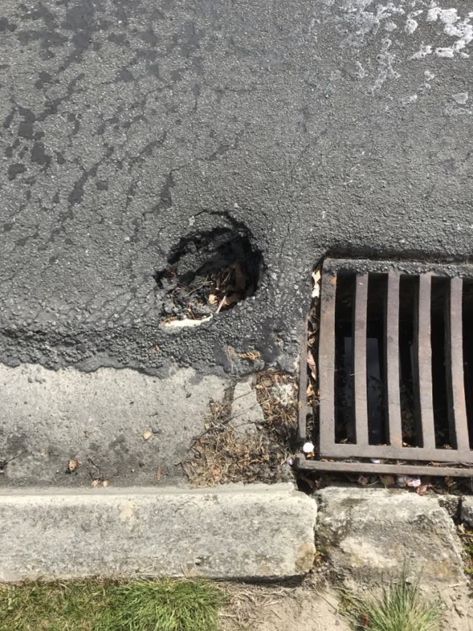The photograph attached to this roading/streets report