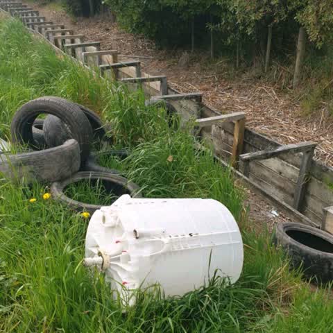 Rubbish/Recycling, a report photo