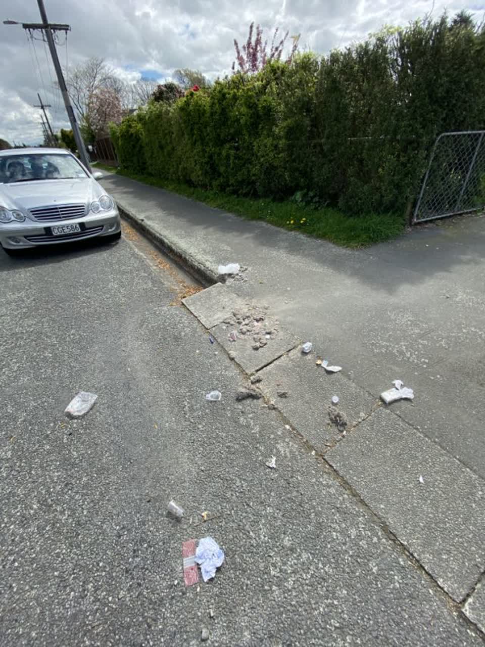 The photograph attached to this rubbish/recycling report