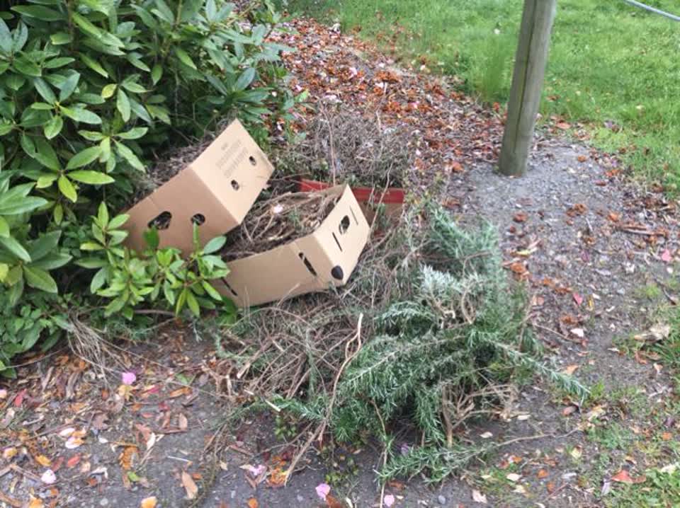 The photograph attached to this rubbish/recycling report
