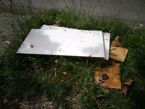 Rubbish/Recycling, a report photo