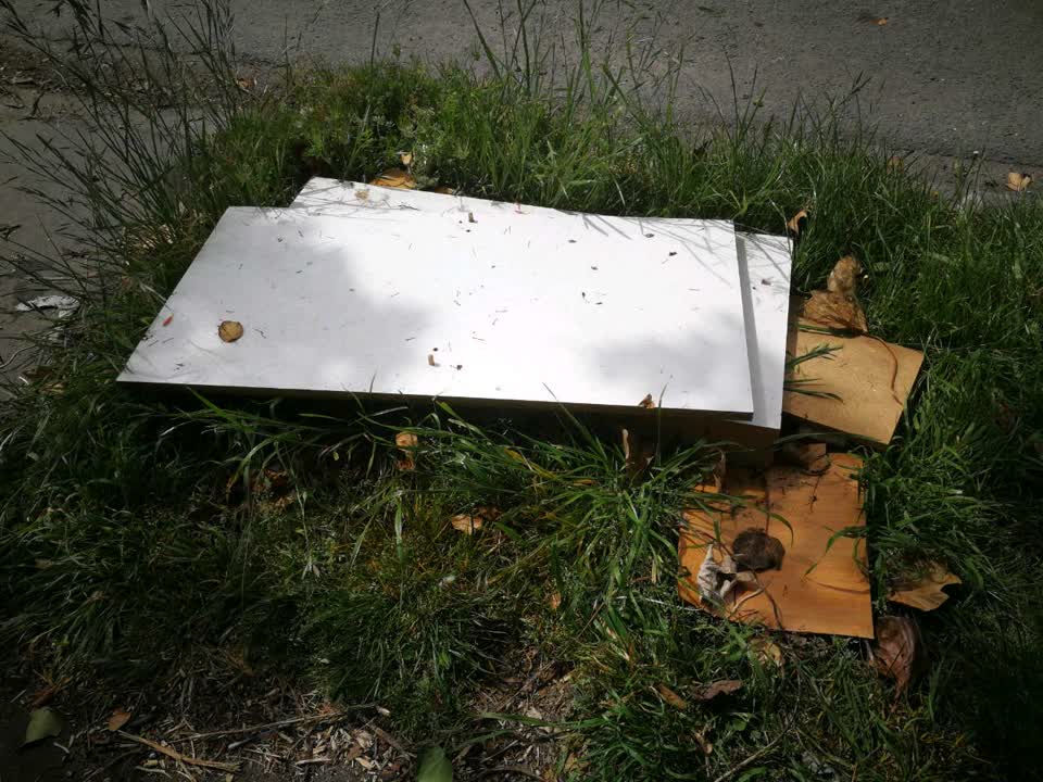 The photograph attached to this rubbish/recycling report