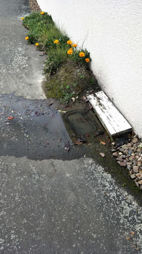 Water Supply, a report photo