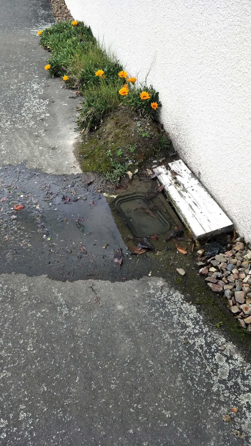 The photograph attached to this water supply report