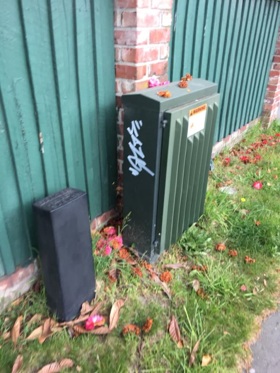 The photograph attached to this graffiti report